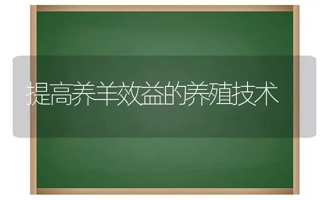 提高养羊效益的养殖技术 | 家畜养殖