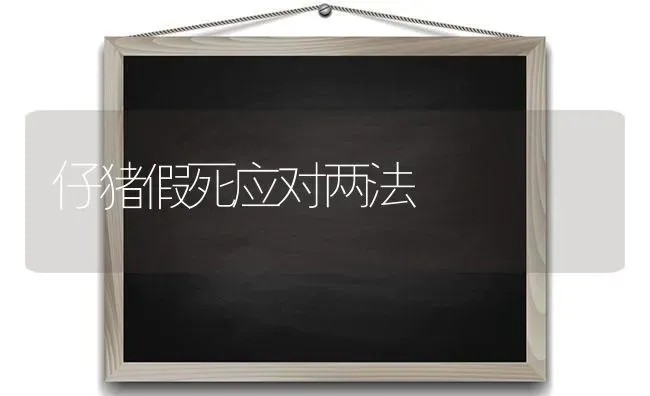 仔猪假死应对两法 | 家畜养殖