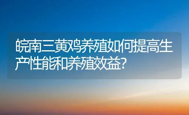 皖南三黄鸡养殖如何提高生产性能和养殖效益？ | 家禽养殖