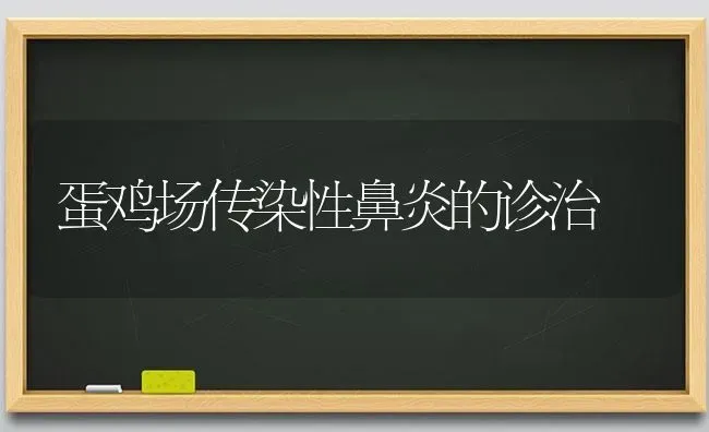 蛋鸡场传染性鼻炎的诊治 | 家禽养殖