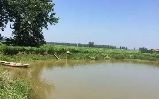 河蟹池酱油水处理