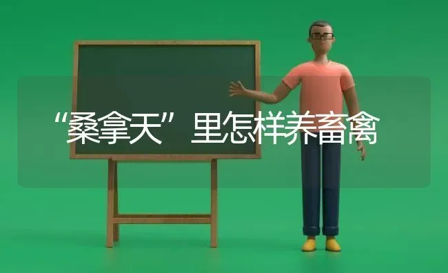 “桑拿天”里怎样养畜禽 | 家禽养殖