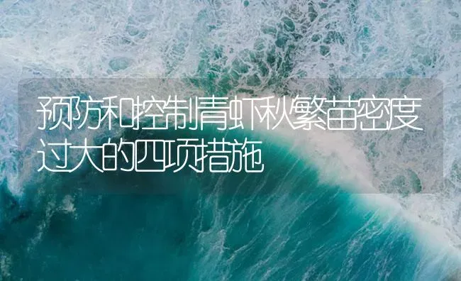 预防和控制青虾秋繁苗密度过大的四项措施 | 海水养殖