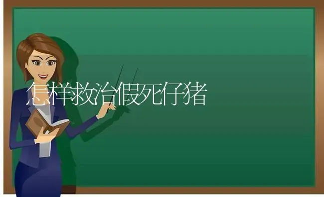 怎样救治假死仔猪 | 家畜养殖