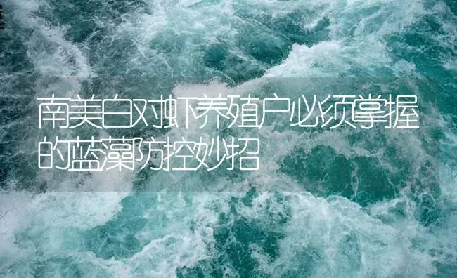 南美白对虾养殖户必须掌握的蓝藻防控妙招 | 海水养殖