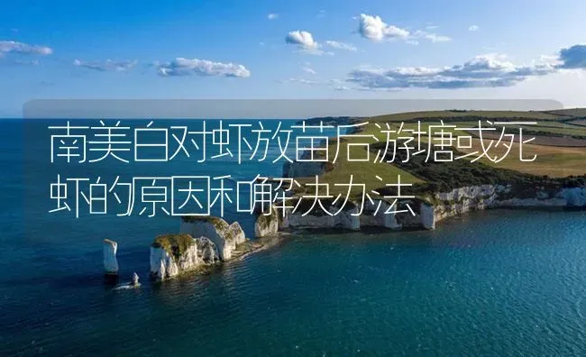南美白对虾放苗后游塘或死虾的原因和解决办法 | 海水养殖