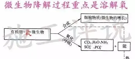 池塘日积月累的有机物，有哪些降解的方法？