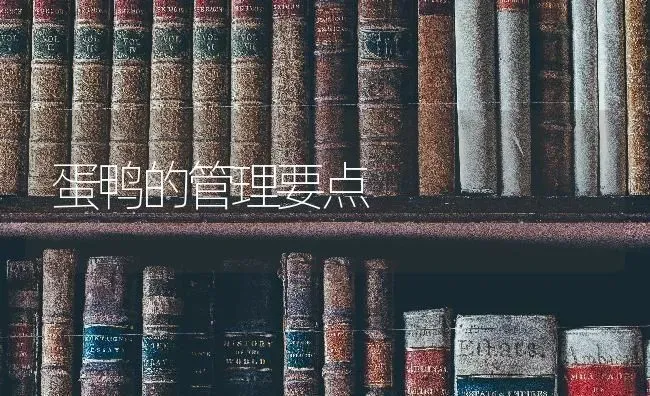 蛋鸭的管理要点 | 家禽养殖