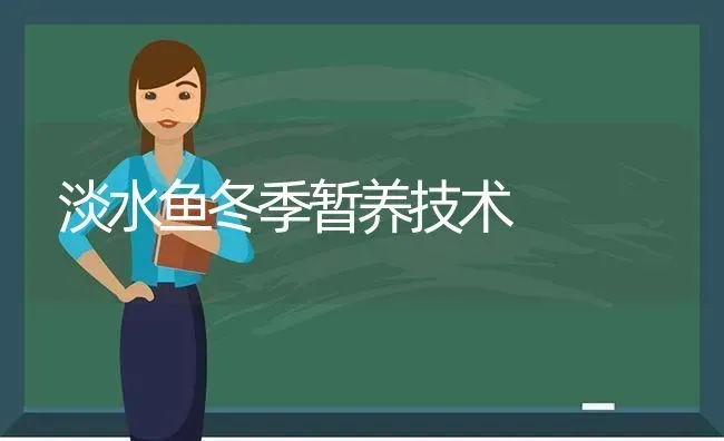 淡水鱼冬季暂养技术 | 淡水养殖