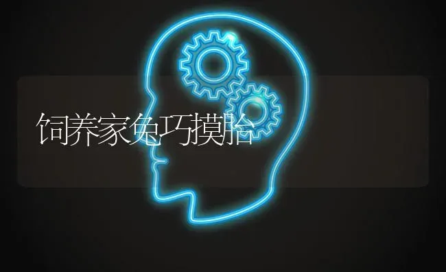 饲养家兔巧摸胎 | 家畜养殖