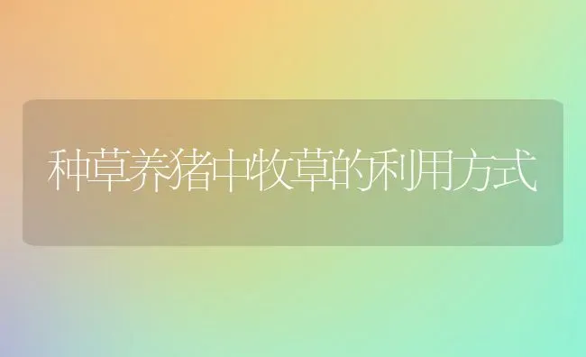 种草养猪中牧草的利用方式 | 家畜养殖