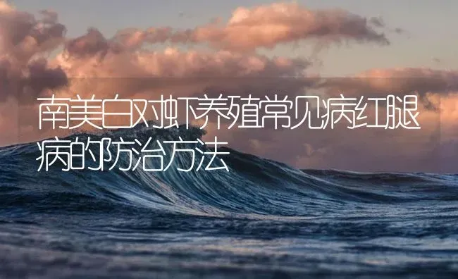 南美白对虾养殖常见病红腿病的防治方法 | 海水养殖