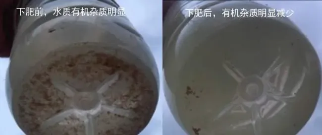 低温水肥吃食好的秘诀—海联科低温肥水组合方案！