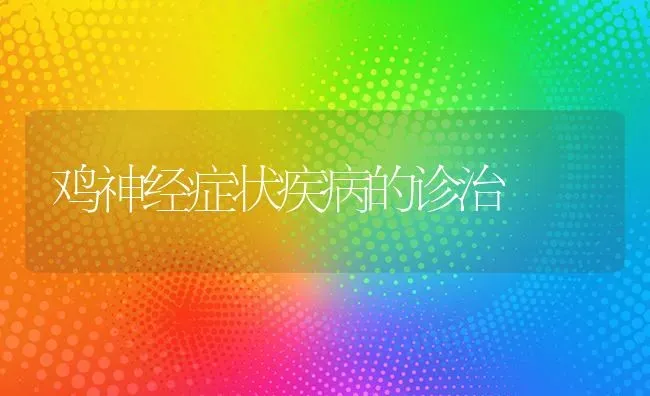 鸡神经症状疾病的诊治 | 家禽养殖