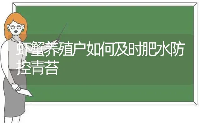 虾蟹养殖户如何及时肥水防控青苔 | 动物养殖百科