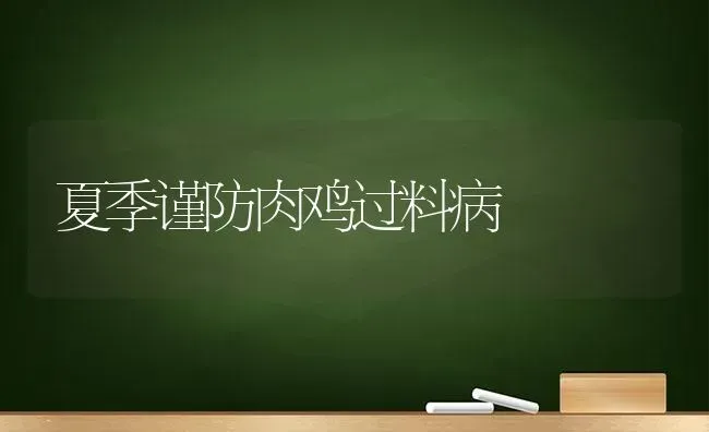 夏季谨防肉鸡过料病 | 家禽养殖