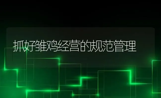抓好雏鸡经营的规范管理 | 家禽养殖