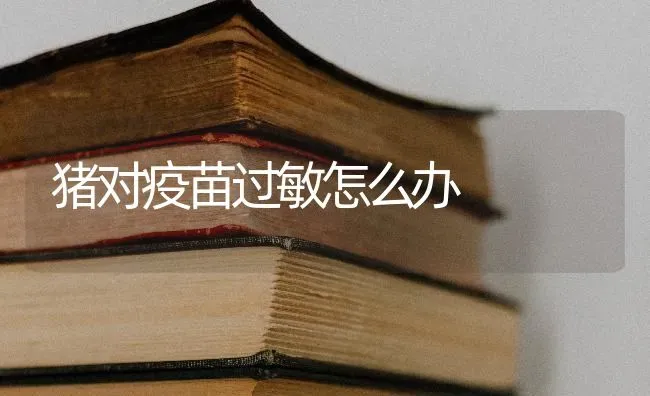 猪对疫苗过敏怎么办 | 家畜养殖