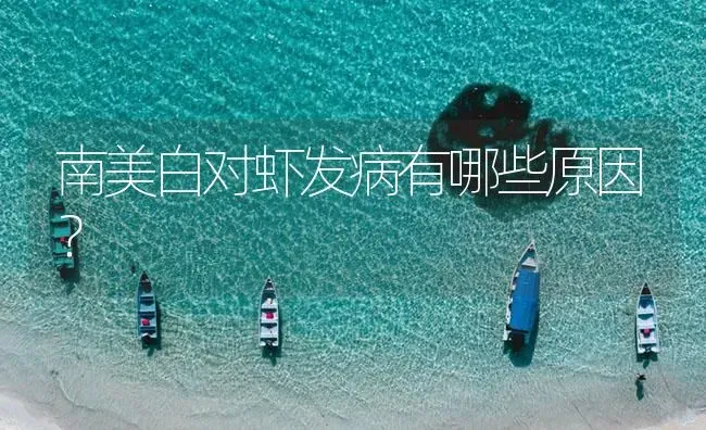 南美白对虾发病有哪些原因？ | 海水养殖