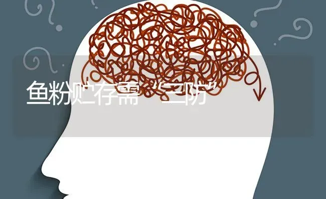 鱼粉贮存需“三防” | 淡水养殖