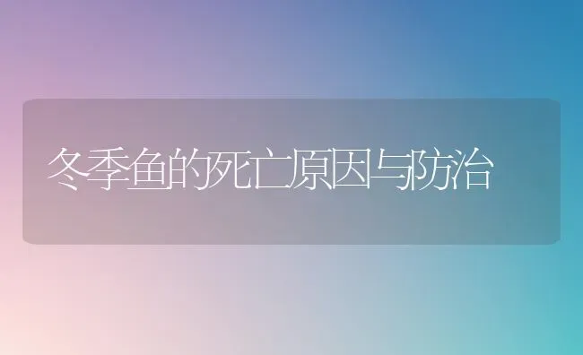 冬季鱼的死亡原因与防治 | 淡水养殖