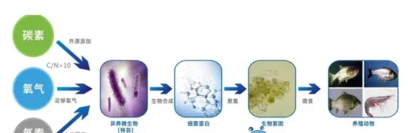 变废为宝的调水诀窍 很多水产养殖户不知道，不看悔一年