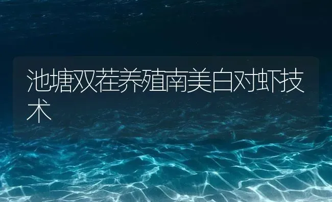 池塘双茬养殖南美白对虾技术 | 海水养殖