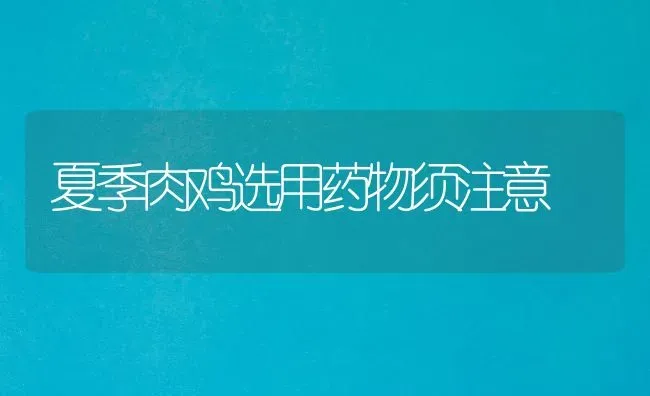 夏季肉鸡选用药物须注意 | 养殖病虫害防治