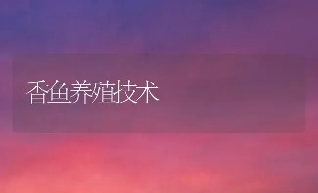 香鱼养殖技术 | 特种养殖