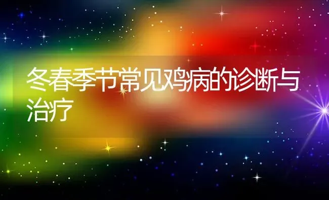 冬春季节常见鸡病的诊断与治疗 | 家禽养殖