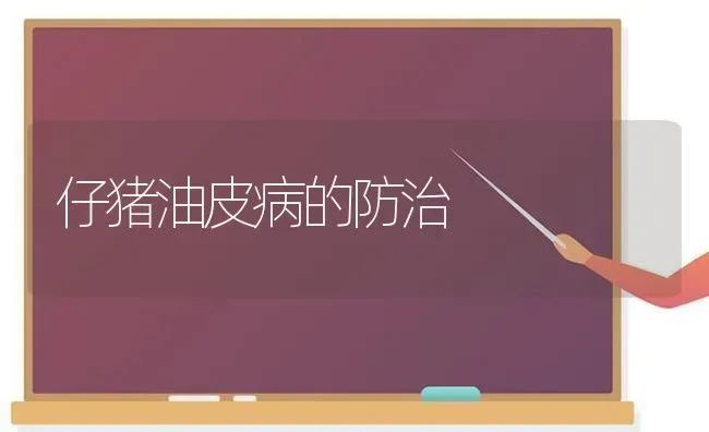 仔猪油皮病的防治 | 家畜养殖