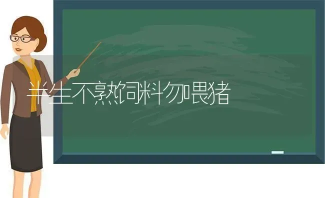 半生不熟饲料勿喂猪 | 家畜养殖