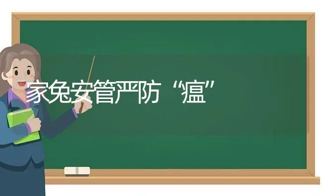 家兔安管严防“瘟” | 家畜养殖