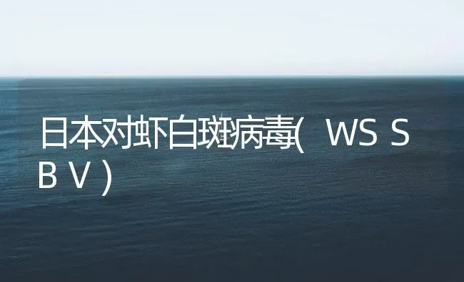 日本对虾白斑病毒(WSSBV) | 海水养殖