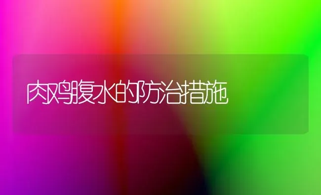 肉鸡腹水的防治措施 | 家禽养殖