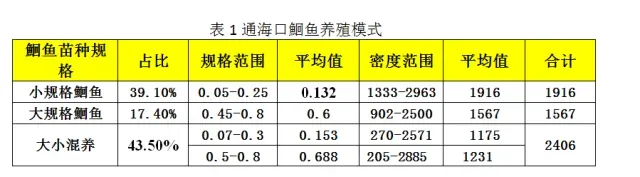 高温期精养池塘鮰鱼养殖技术