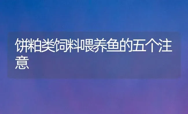 饼粕类饲料喂养鱼的五个注意 | 动物养殖饲料