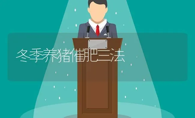 冬季养猪催肥三法 | 家畜养殖