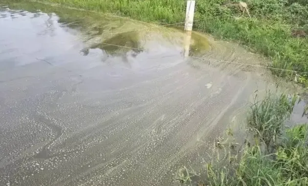 高温季节广东珠海地区鱼虾养殖的防控措施