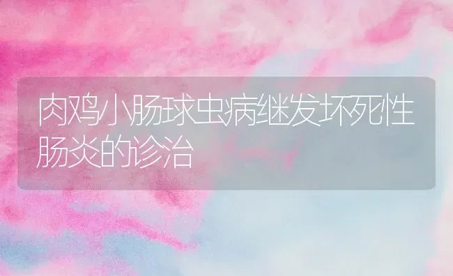 肉鸡小肠球虫病继发坏死性肠炎的诊治 | 家禽养殖