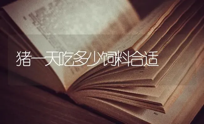 猪一天吃多少饲料合适 | 家畜养殖