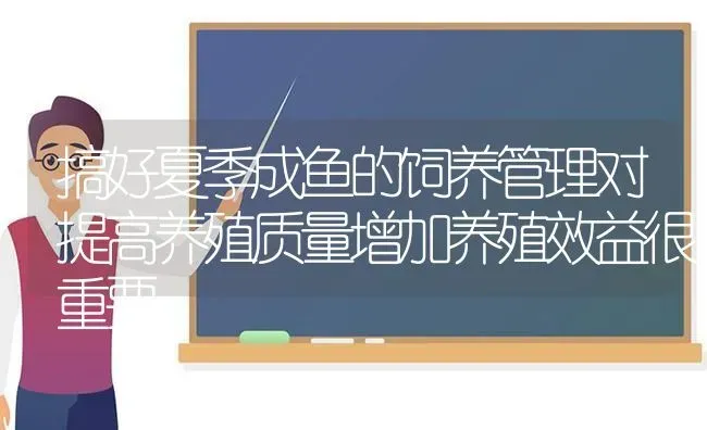 搞好夏季成鱼的饲养管理对提高养殖质量增加养殖效益很重要 | 动物养殖百科