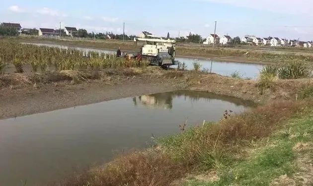 9月份虾稻田技术管理要点