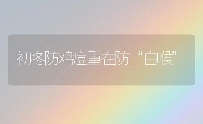 初冬防鸡痘重在防“白喉” | 家禽养殖