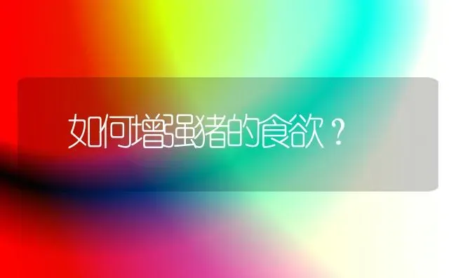 如何增强猪的食欲？ | 家畜养殖