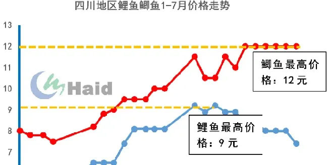 鲤鱼鲫鱼如何高效养殖？模式管理缺一不可！