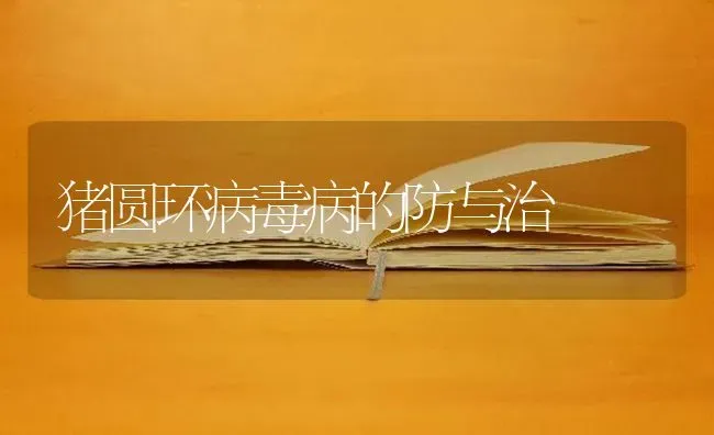 猪圆环病毒病的防与治 | 家畜养殖