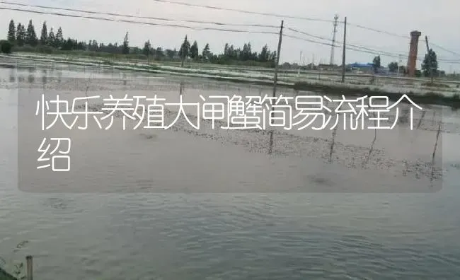 快乐养殖大闸蟹简易流程介绍 | 淡水养殖