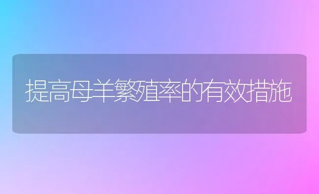 提高母羊繁殖率的有效措施 | 家畜养殖