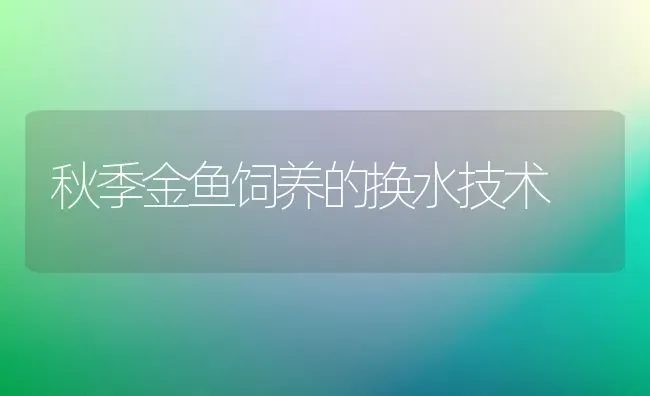 秋季金鱼饲养的换水技术 | 淡水养殖